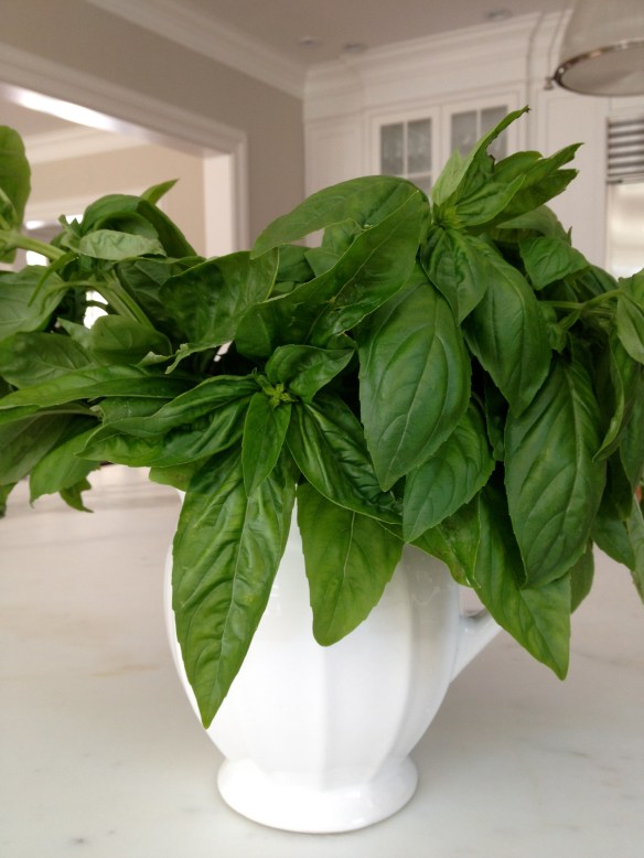 basil bouquet