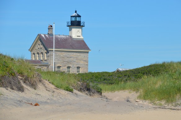 The North LIght