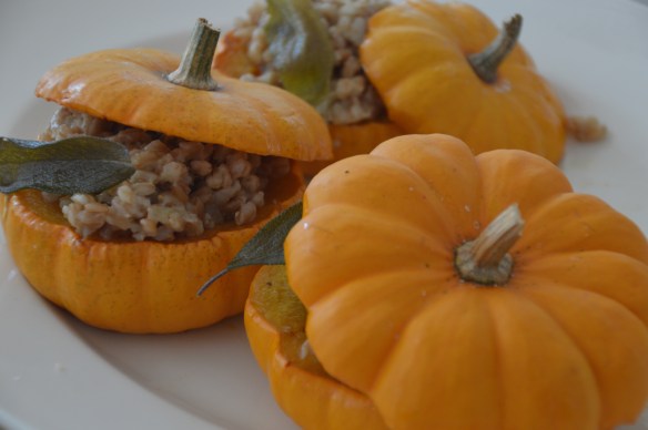 Farro-stuffed mini pumpkins