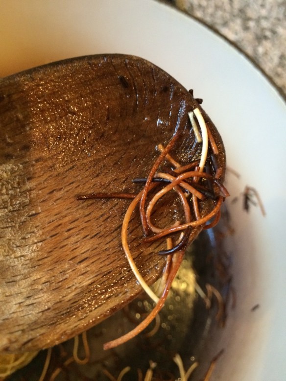 This is what you want: some pieces of dark brown toasted pasta.