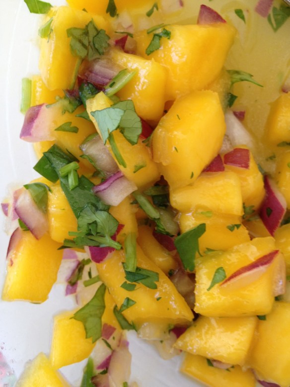 the best mango salsa